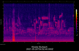2021-05-24T04:52:40.000Z