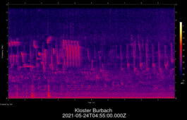 2021-05-24T04:55:00.000Z