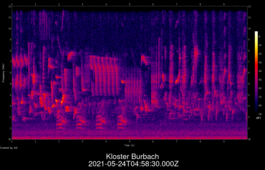 2021-05-24T04:58:30.000Z