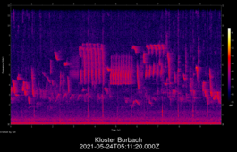 2021-05-24T05:11:20.000Z