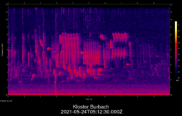 2021-05-24T05:12:30.000Z