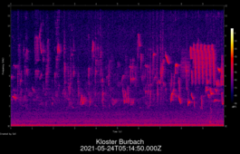 2021-05-24T05:14:50.000Z