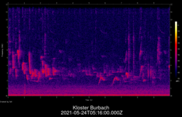 2021-05-24T05:16:00.000Z