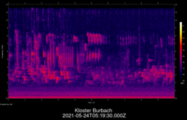 2021-05-24T05:19:30.000Z