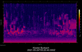 2021-05-24T05:20:40.000Z