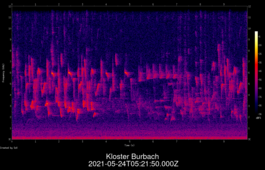 2021-05-24T05:21:50.000Z