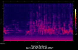 2021-05-24T05:23:00.000Z