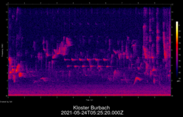 2021-05-24T05:25:20.000Z