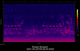 2021-05-24T05:26:30.000Z