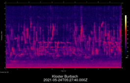 2021-05-24T05:27:40.000Z