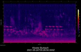 2021-05-24T05:28:50.000Z