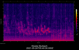 2021-05-24T05:40:30.000Z