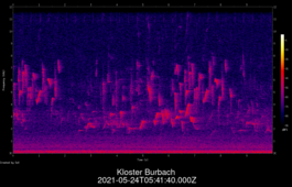 2021-05-24T05:41:40.000Z