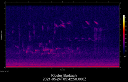 2021-05-24T05:42:50.000Z