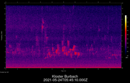 2021-05-24T05:45:10.000Z