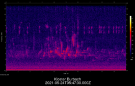2021-05-24T05:47:30.000Z