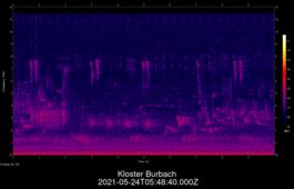 2021-05-24T05:48:40.000Z