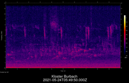2021-05-24T05:49:50.000Z