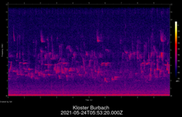2021-05-24T05:53:20.000Z