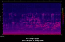 2021-05-24T05:56:50.000Z