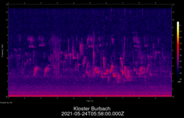 2021-05-24T05:58:00.000Z